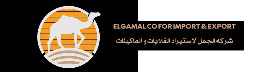 LoGo (26) (3) (1)